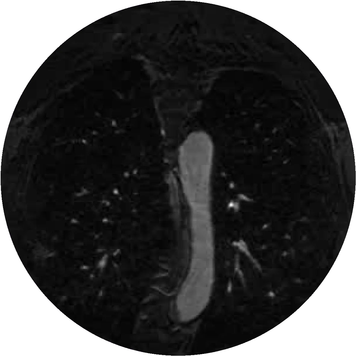 Visor DICOM, videos y fotos